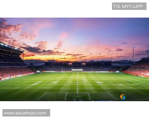 追逐梦想的绿茵场上我心中的足球明星与理想之路