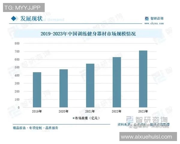 高档健身器材价格解析与市场趋势分析助你选购最优产品 高档健身器材价格解析与市场趋势分析助你选购最优产品